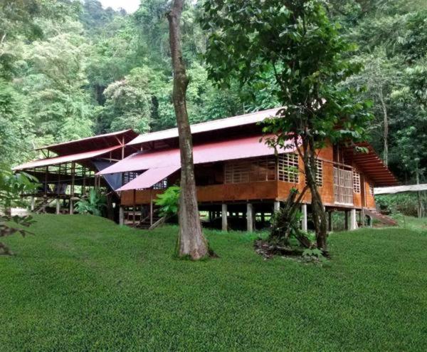 Safio. Una Casa En El Paraiso. Nuquí Dış mekan fotoğraf