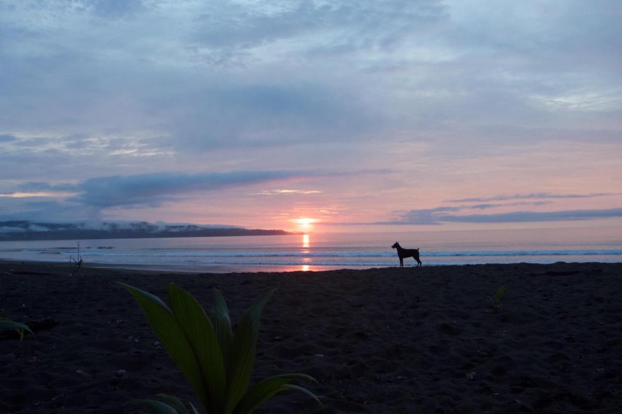 Safio. Una Casa En El Paraiso. Nuquí Dış mekan fotoğraf