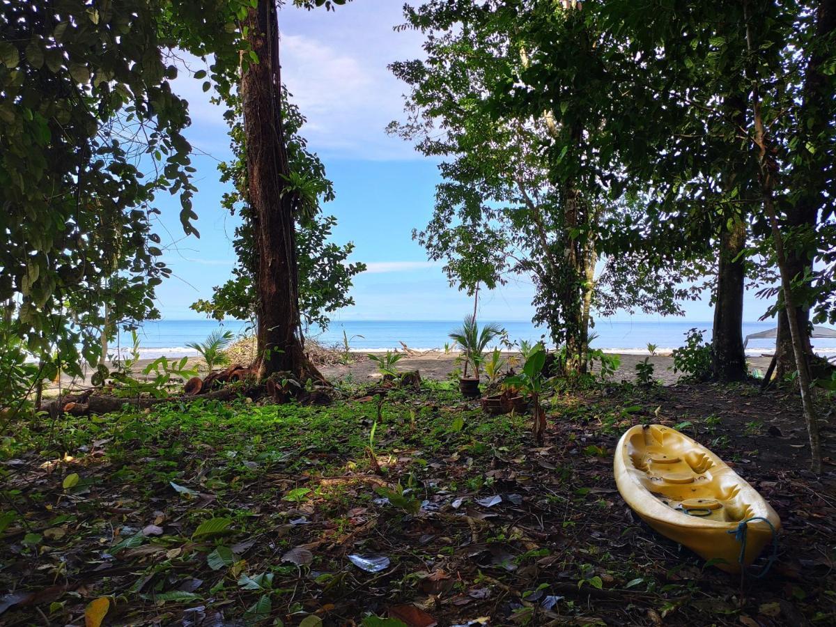 Safio. Una Casa En El Paraiso. Nuquí Dış mekan fotoğraf
